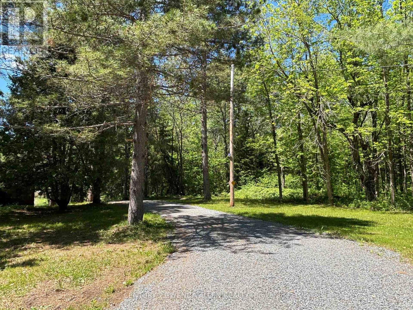 2913 Highway 11 Highway N, Temagami, Ontario  P0M 1T0 - Photo 5 - X13463890