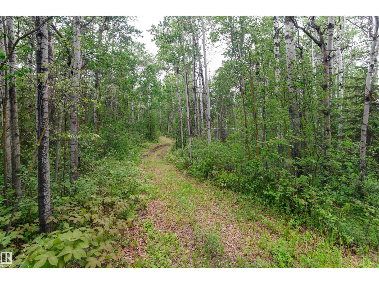 52 59318 Rge Rd 454, Rural Bonnyville M.d., Alberta  T9N 0H2 - Photo 13 - E4494458