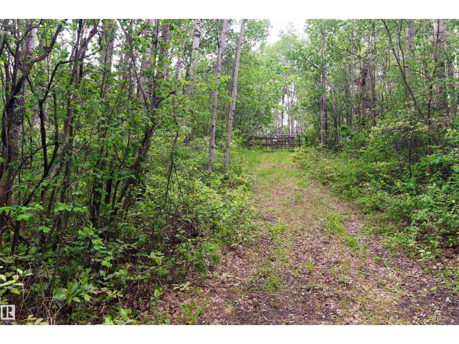 52 59318 Rge Rd 454, Rural Bonnyville M.d., Alberta  T9N 0H2 - Photo 14 - E4494458
