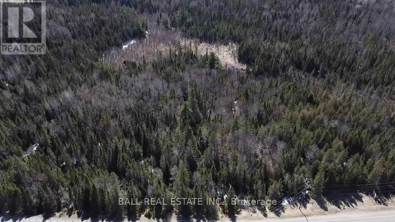 0 Highway 62, Hastings Highlands, Ontario  K0L 1S0 - Photo 2 - X12784640