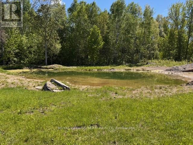 20473 Highway 17 Highway, Whitewater Region, Ontario  K0J 1K0 - Photo 31 - X13441148