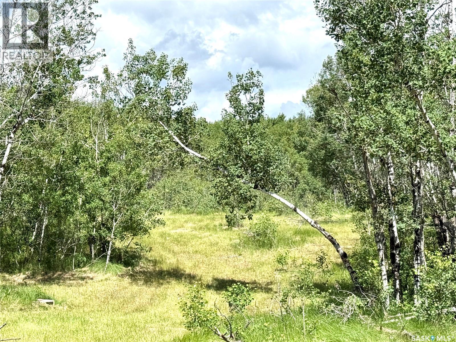 Duddridge Acres, Battle River Rm No. 438, Saskatchewan  S0M 0E0 - Photo 29 - SK036248