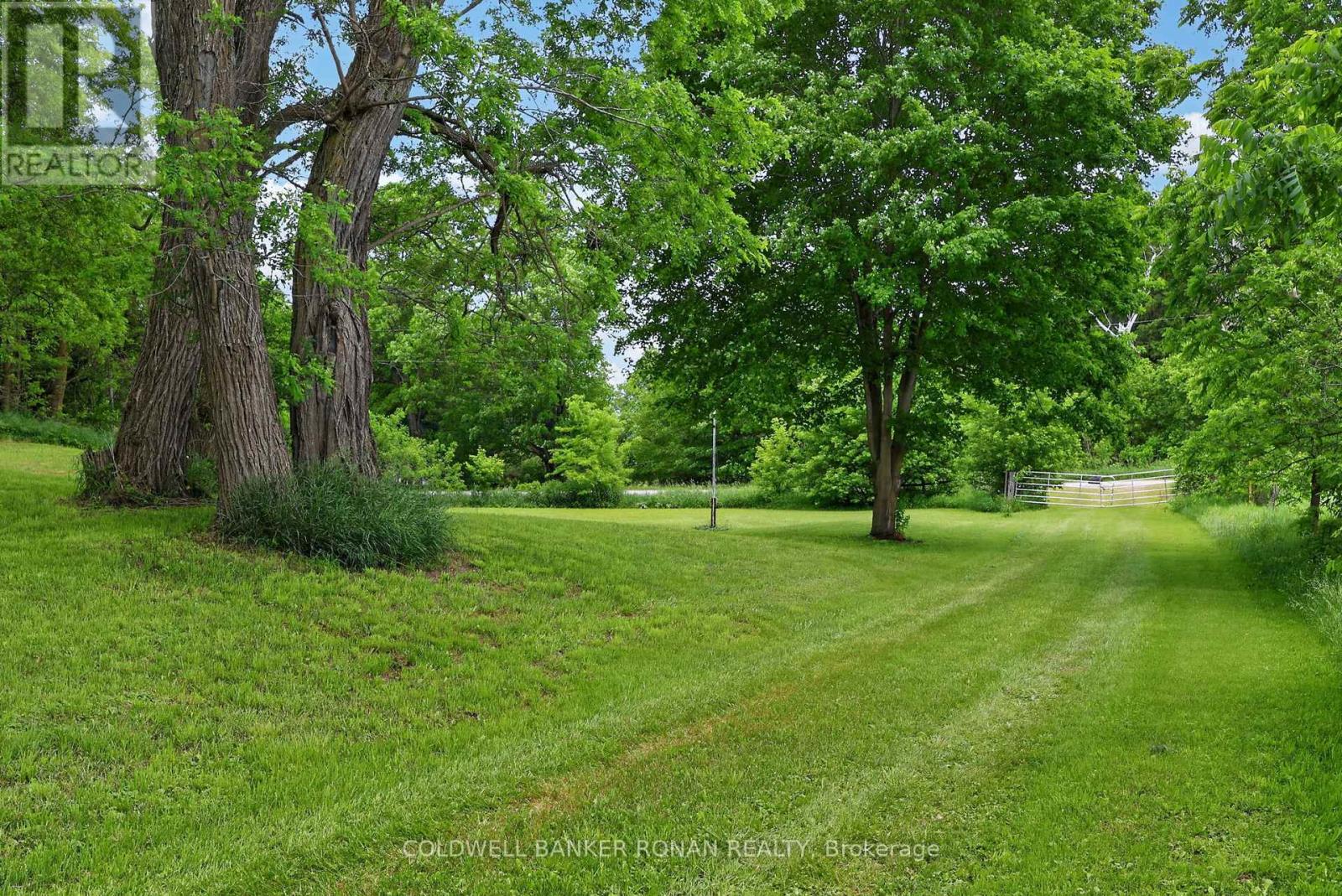 2362 Concession Rd 2, Adjala-Tosorontio, Ontario  L0N 1P0 - Photo 10 - N13464272