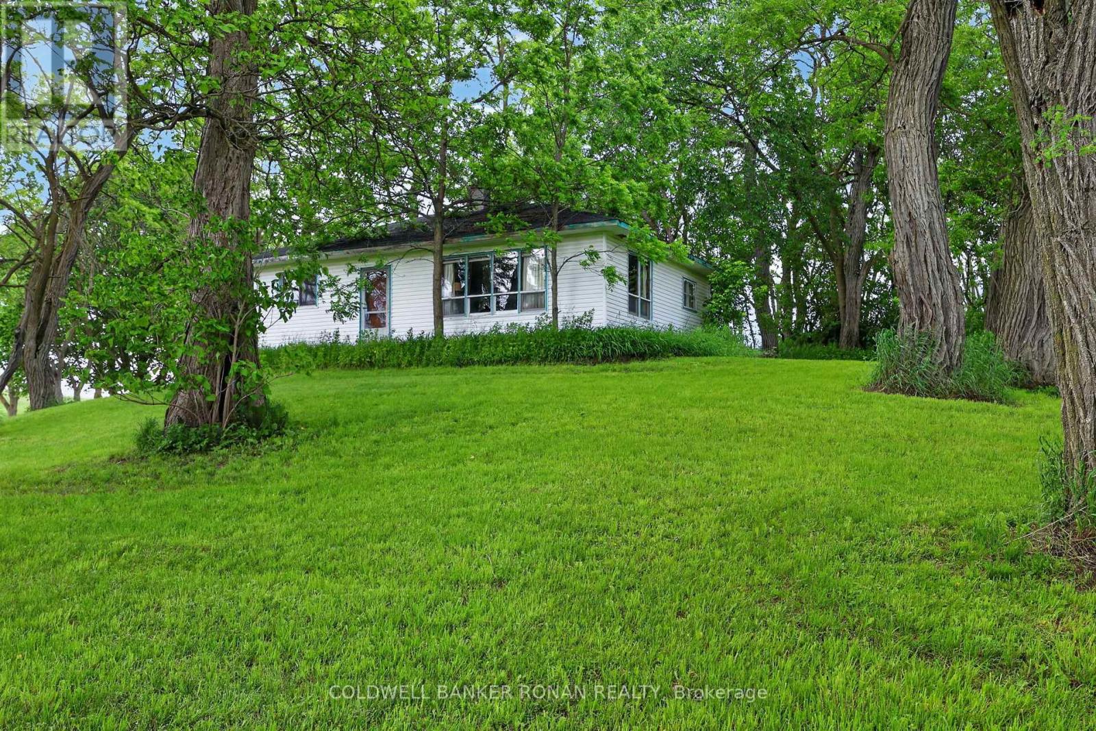 2362 Concession Rd 2, Adjala-Tosorontio, Ontario  L0N 1P0 - Photo 11 - N13464272