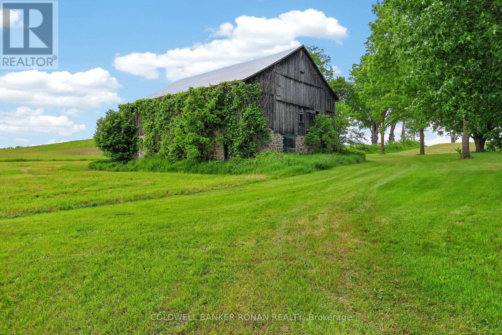 2362 Concession Rd 2, Adjala-Tosorontio, Ontario  L0N 1P0 - Photo 13 - N13464272