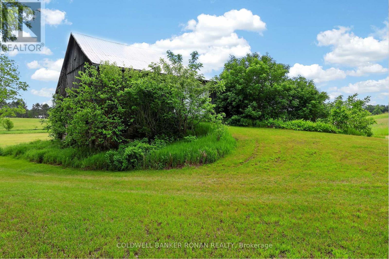 2362 Concession Rd 2, Adjala-Tosorontio, Ontario  L0N 1P0 - Photo 14 - N13464272