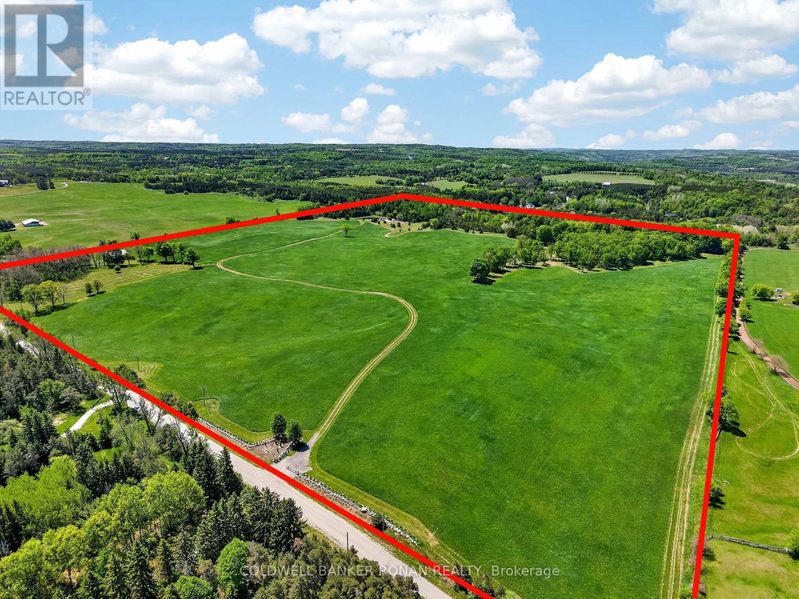 2362 Concession Rd 2, Adjala-Tosorontio, Ontario  L0N 1P0 - Photo 3 - N13464272