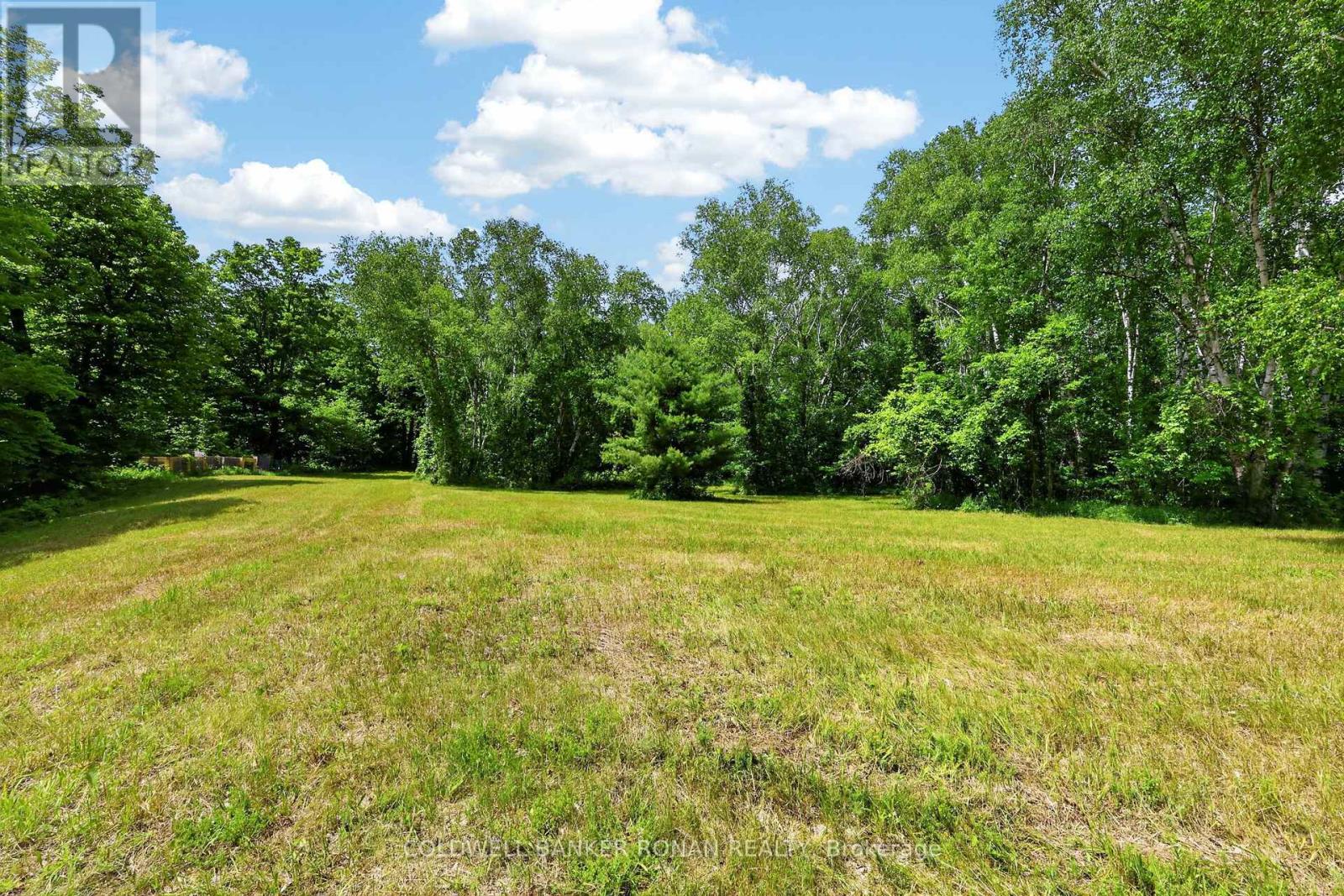 2362 Concession Rd 2, Adjala-Tosorontio, Ontario  L0N 1P0 - Photo 31 - N13464272