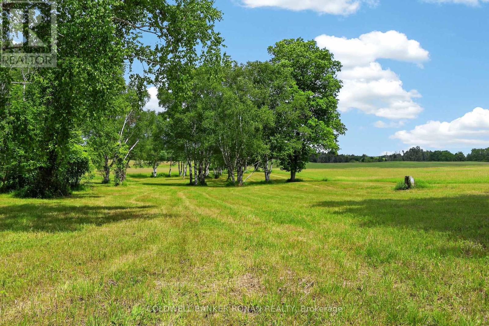 2362 Concession Rd 2, Adjala-Tosorontio, Ontario  L0N 1P0 - Photo 32 - N13464272