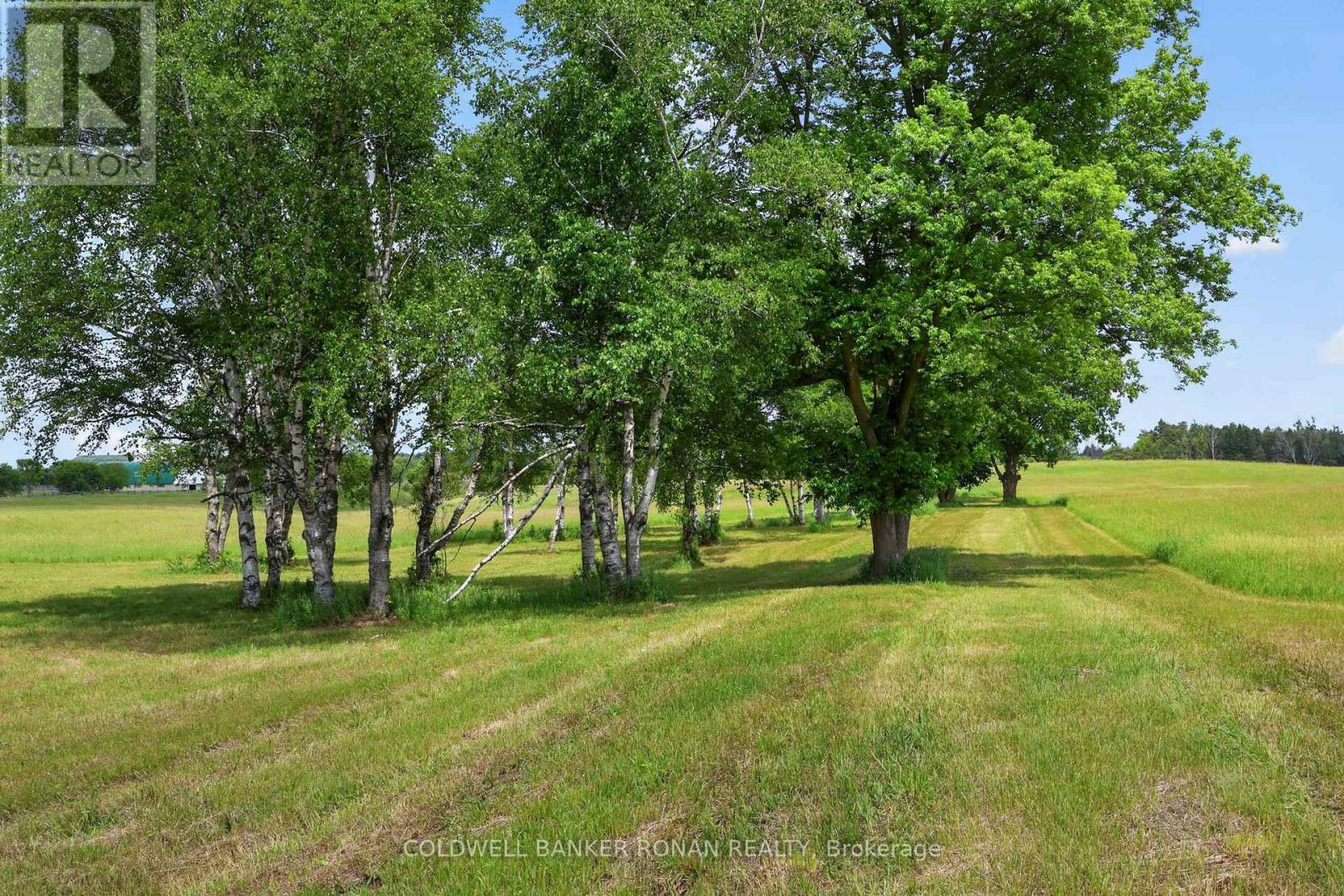 2362 Concession Rd 2, Adjala-Tosorontio, Ontario  L0N 1P0 - Photo 35 - N13464272