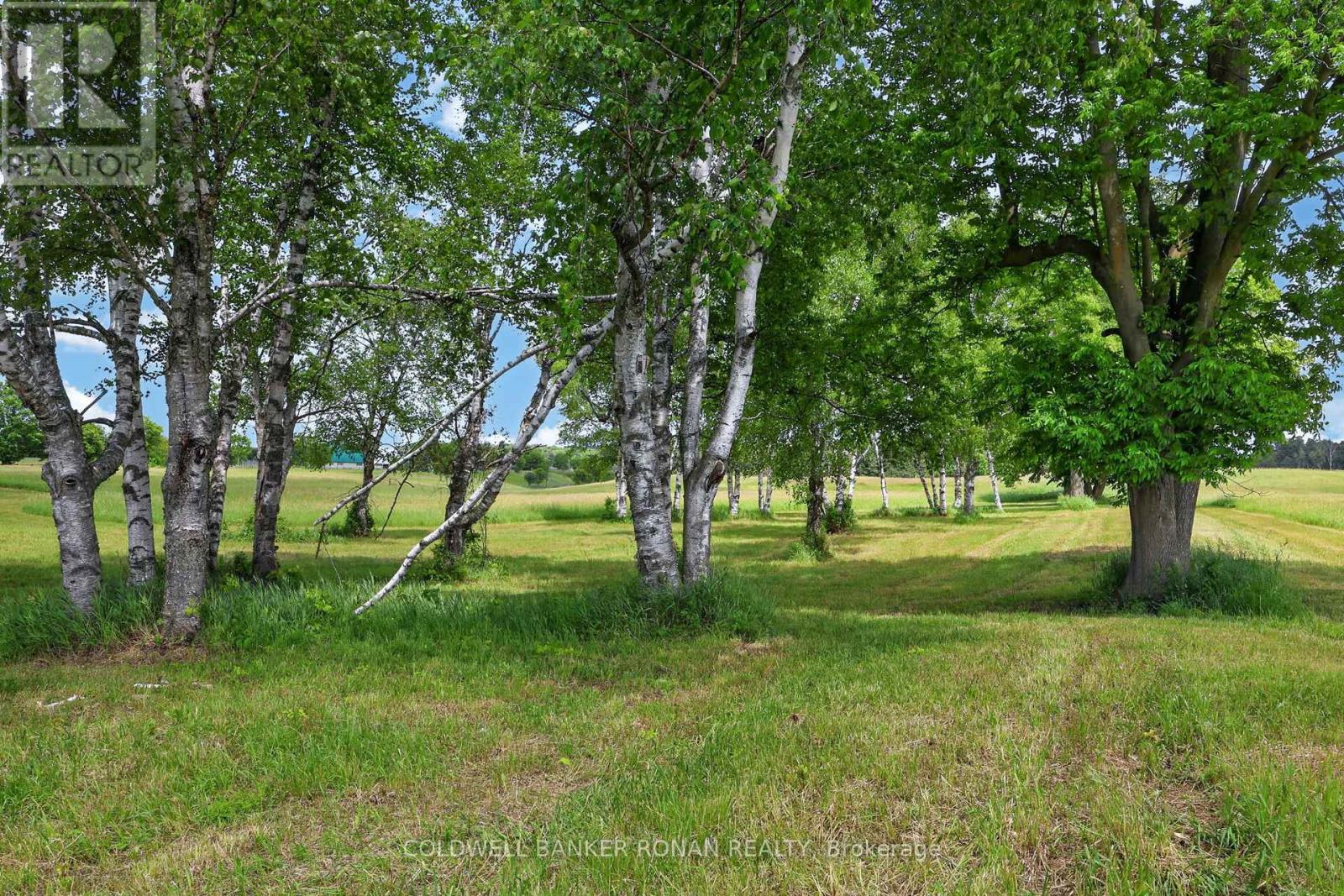2362 Concession Rd 2, Adjala-Tosorontio, Ontario  L0N 1P0 - Photo 36 - N13464272