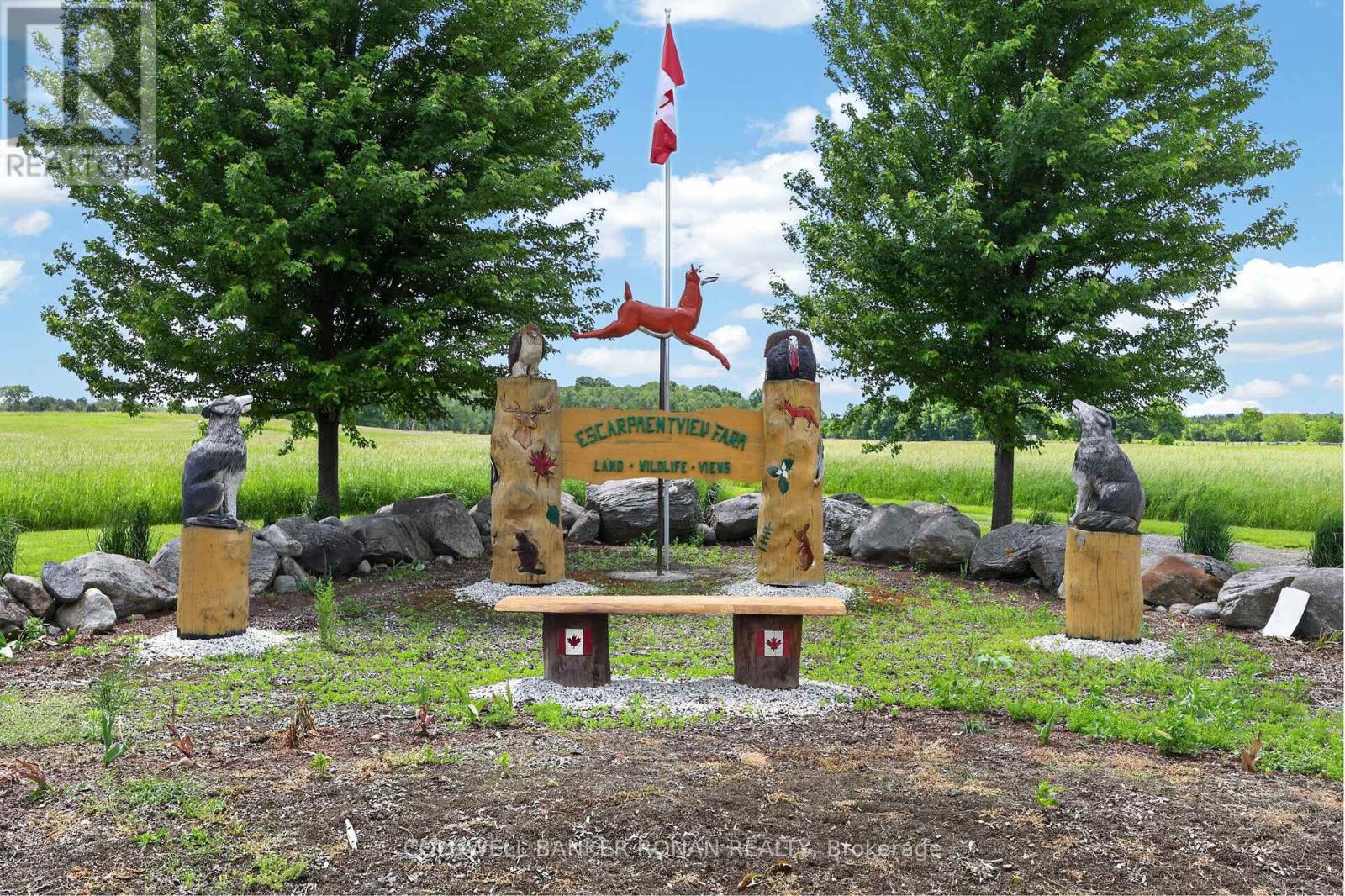 2362 Concession Rd 2, Adjala-Tosorontio, Ontario  L0N 1P0 - Photo 38 - N13464272