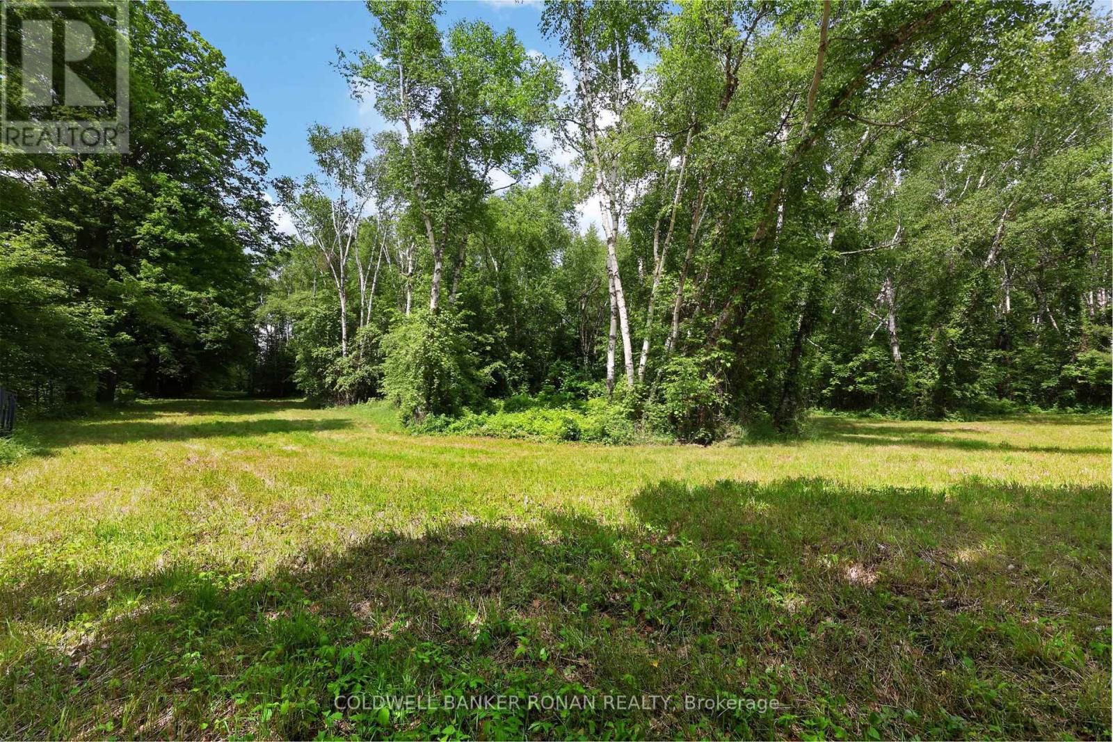2362 Concession Rd 2, Adjala-Tosorontio, Ontario  L0N 1P0 - Photo 31 - N13464280