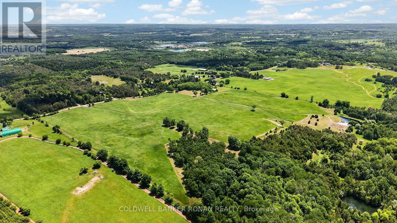 2362 Concession Rd 2, Adjala-Tosorontio, Ontario  L0N 1P0 - Photo 42 - N13464280
