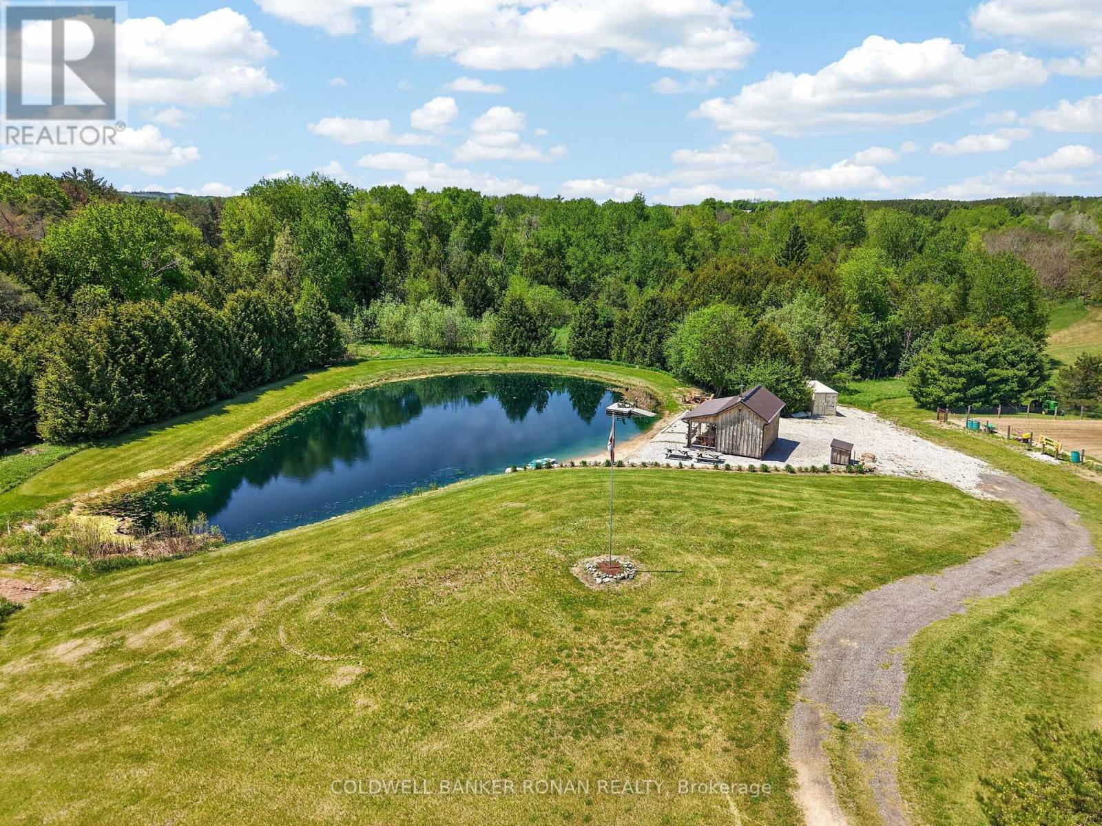 2362 Concession Rd 2, Adjala-Tosorontio, Ontario  L0N 1P0 - Photo 6 - N13464280