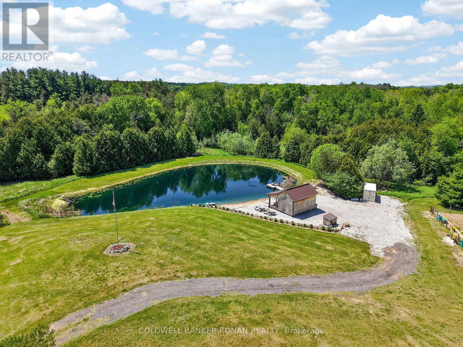 2362 Concession Rd 2, Adjala-Tosorontio, Ontario  L0N 1P0 - Photo 7 - N13464280