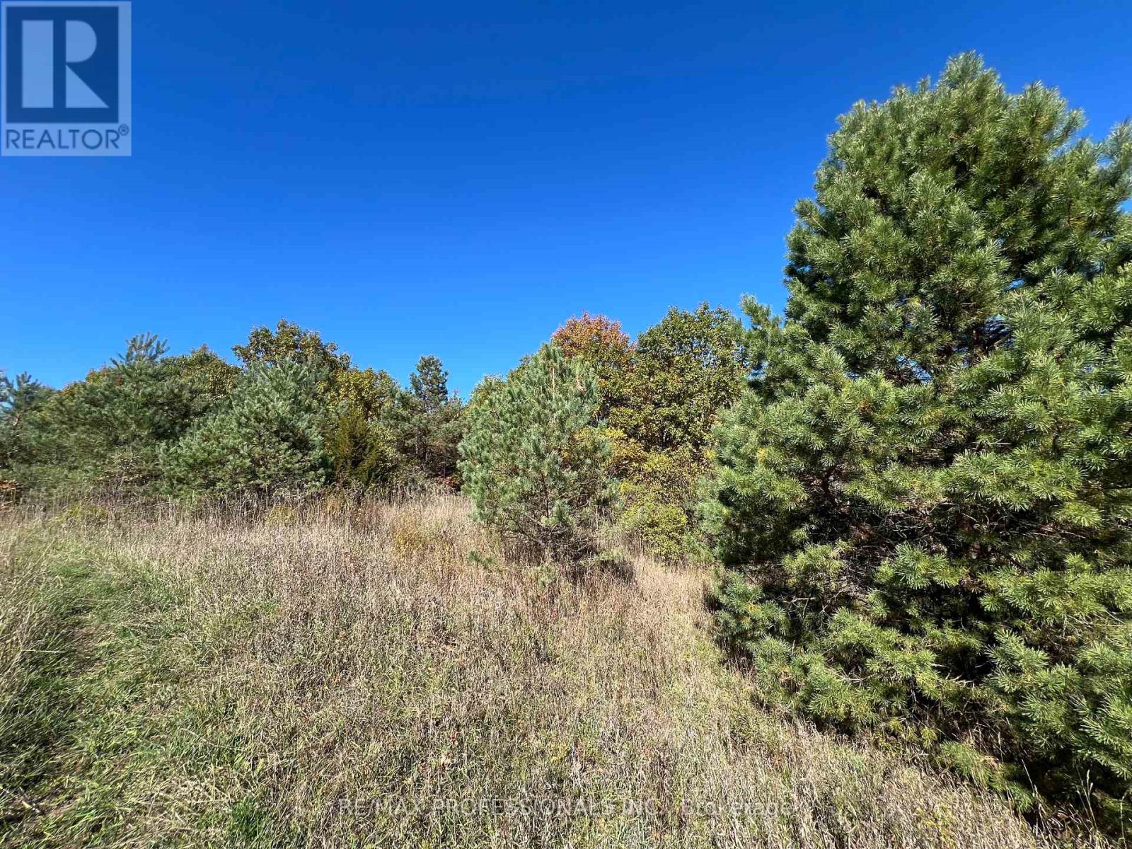 14070 Dublin Line, Halton Hills, Ontario L7J 2L9 - Photo 7 - W13464214
