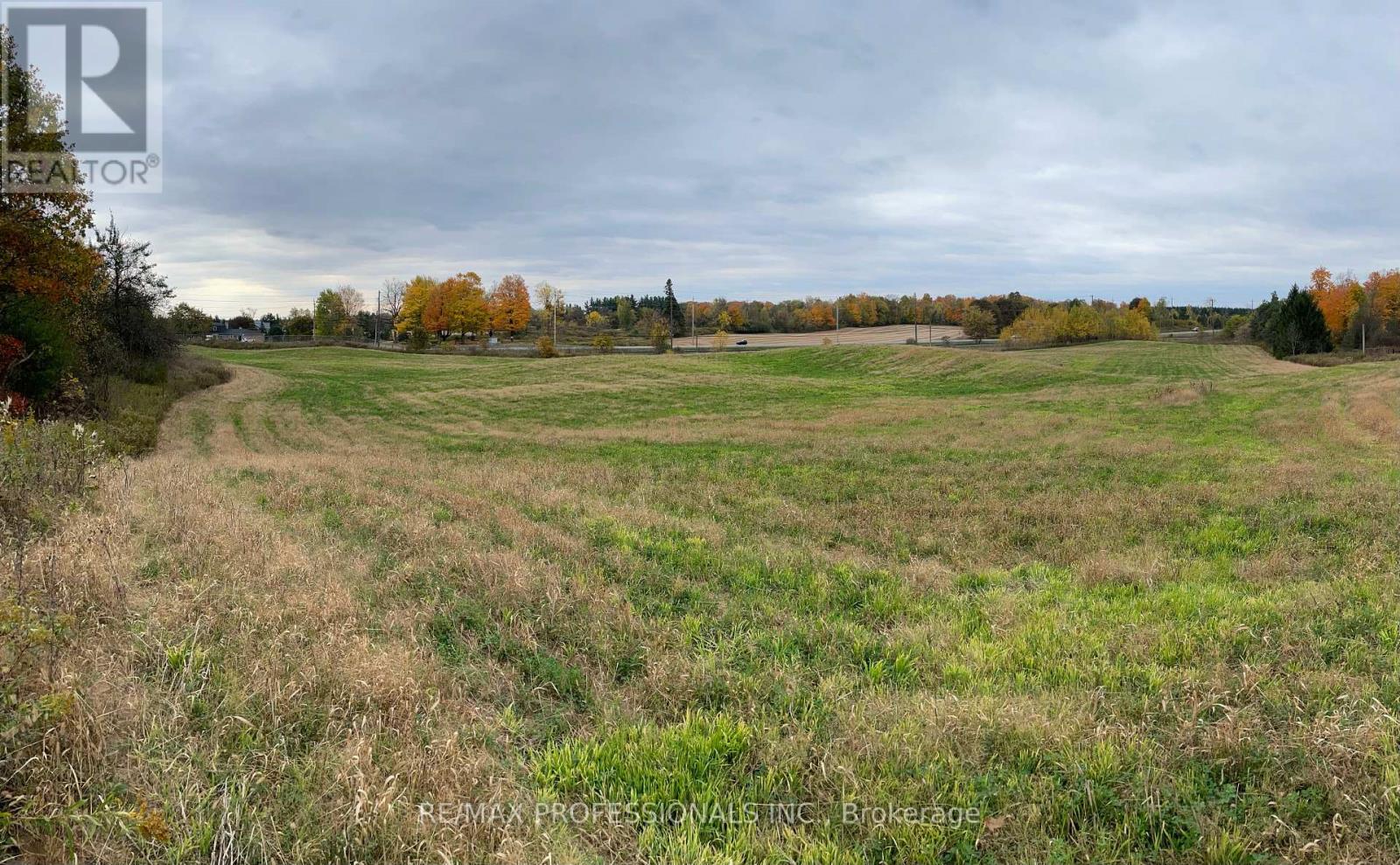14070 Dublin Line, Halton Hills, Ontario L7J 2L9 - Photo 8 - W13464214