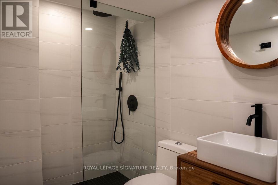 Lower - 166 Oakmount Road, Toronto, Ontario  M6P 2N9 - Photo 17 - W13464424