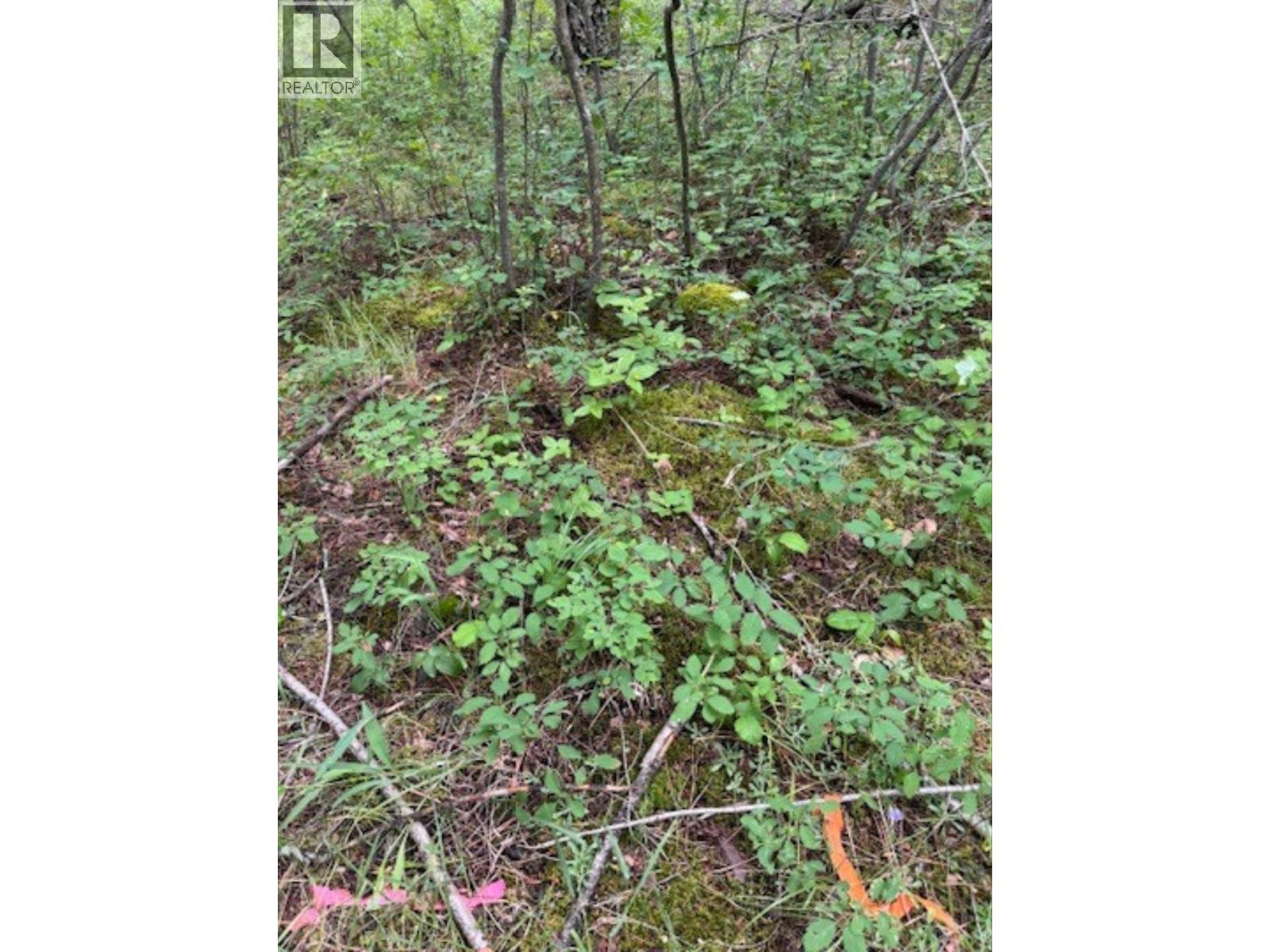 Lot 71 To 75 Holbrook Street, Elko, British Columbia  V0B 1T3 - Photo 2 - 10356809