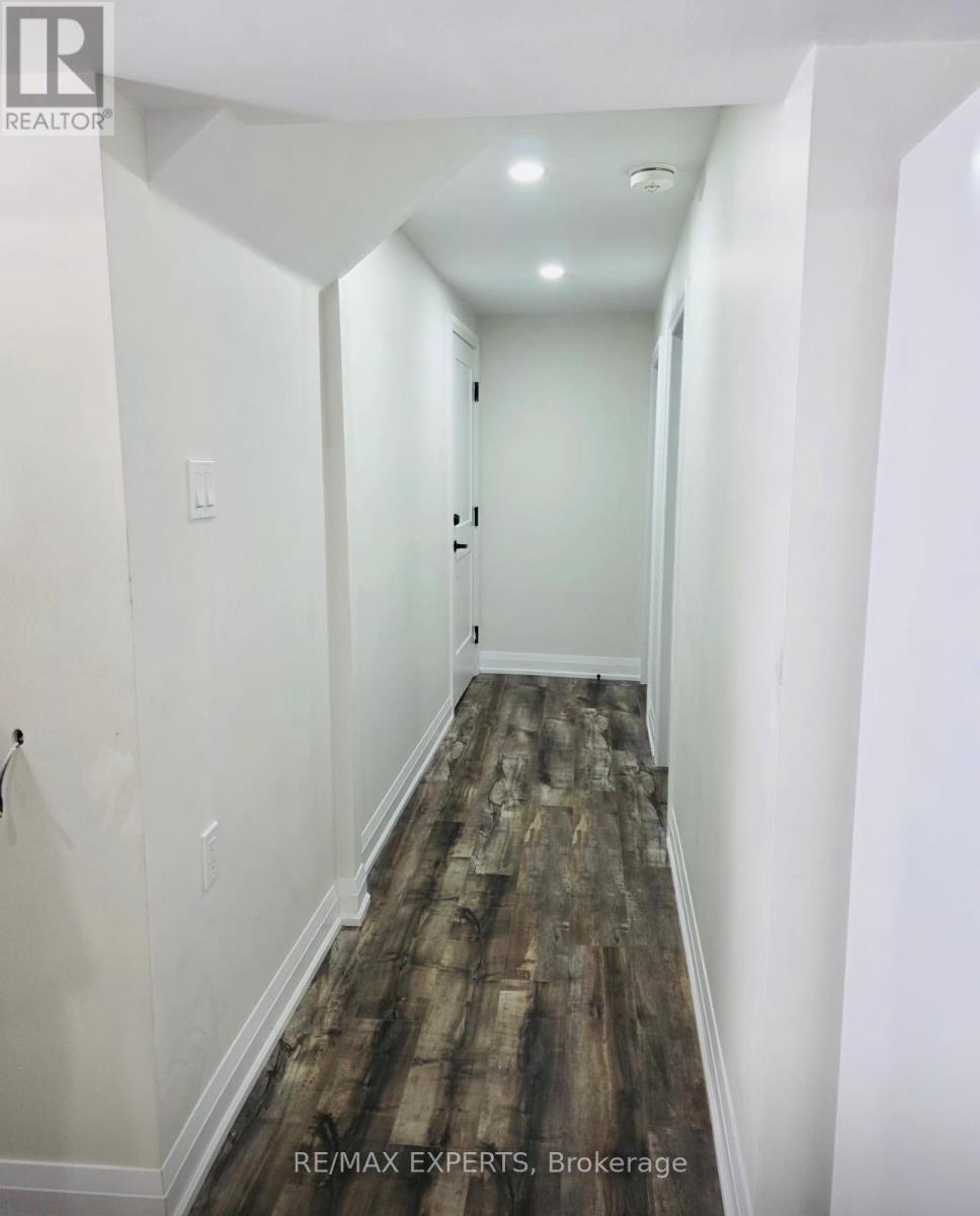 Bsmt - 3400 Erin Centre Boulevard, Mississauga, Ontario  L5M 8C3 - Photo 2 - W13464542