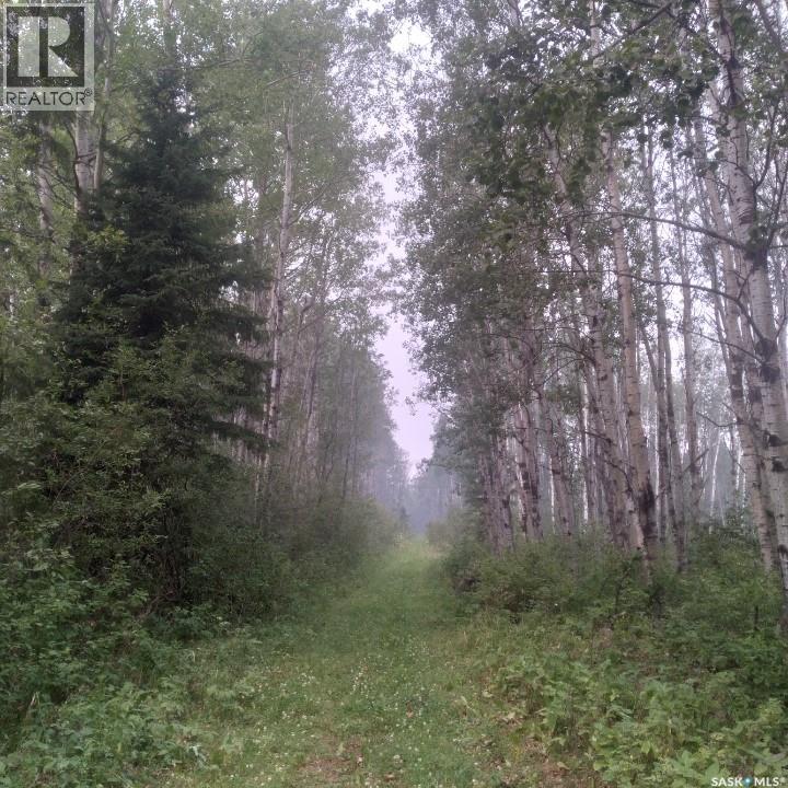 Delaronde Lake 30 Acres Forest, Delaronde Lake, Saskatchewan  S0J 0E0 - Photo 12 - SK035018