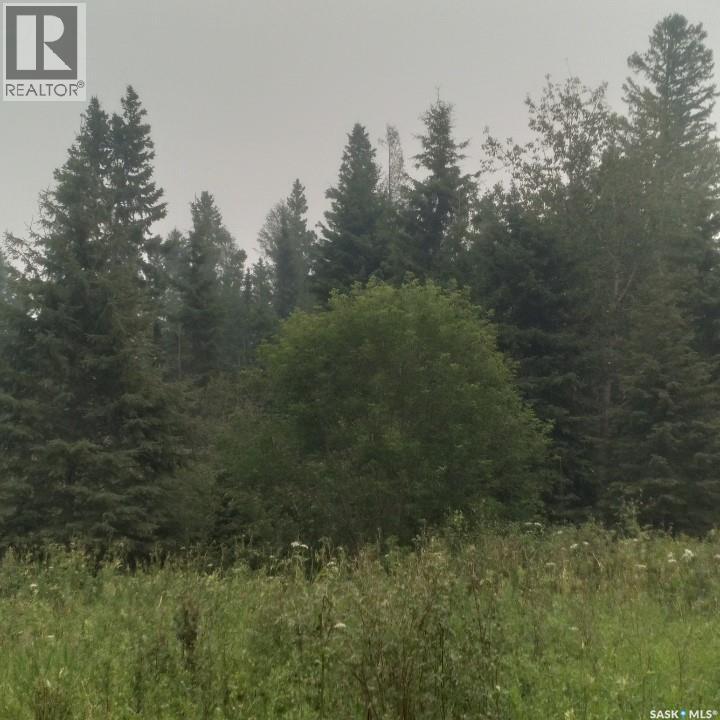 Delaronde Lake 30 Acres Forest, Delaronde Lake, Saskatchewan  S0J 0E0 - Photo 17 - SK035018