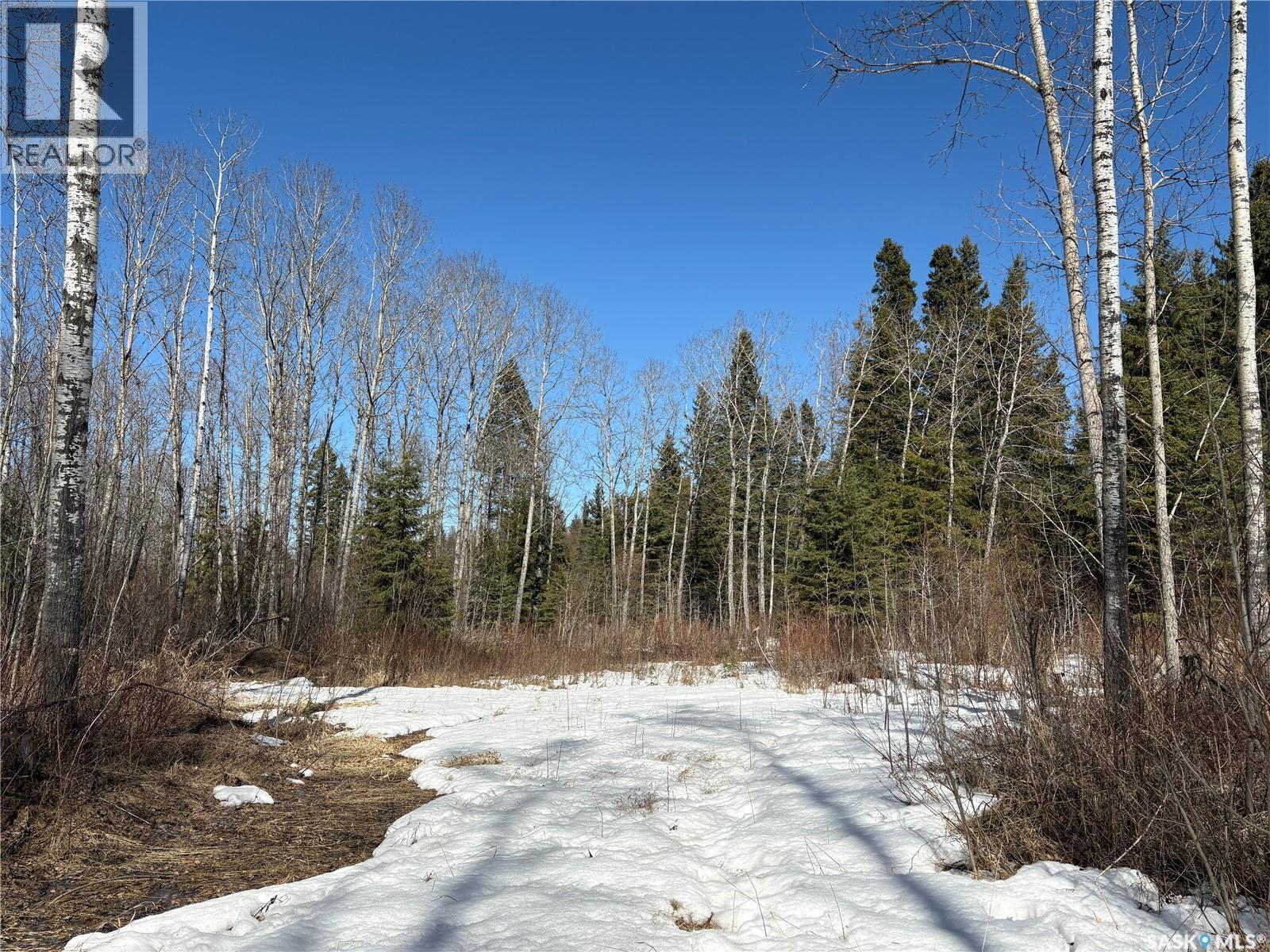 Delaronde Lake 30 Acres Forest, Delaronde Lake, Saskatchewan  S0J 0E0 - Photo 13 - SK035018
