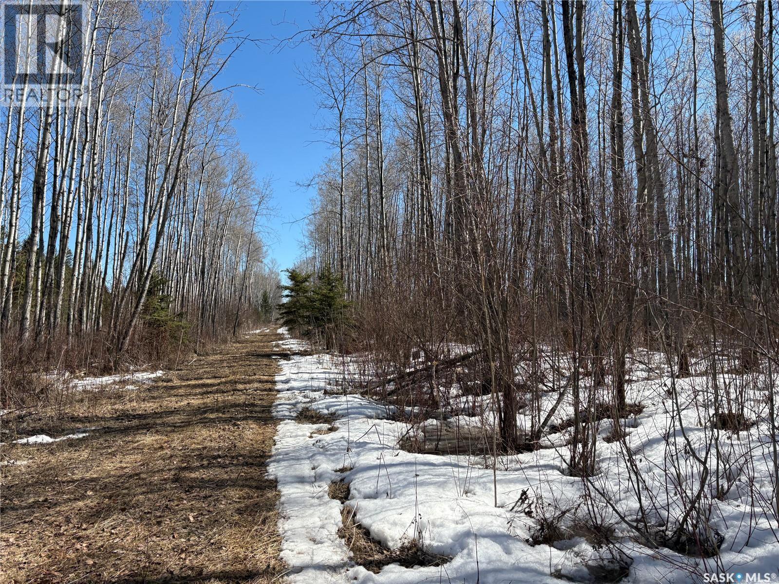 Delaronde Lake 30 Acres Forest, Delaronde Lake, Saskatchewan  S0J 0E0 - Photo 16 - SK035018
