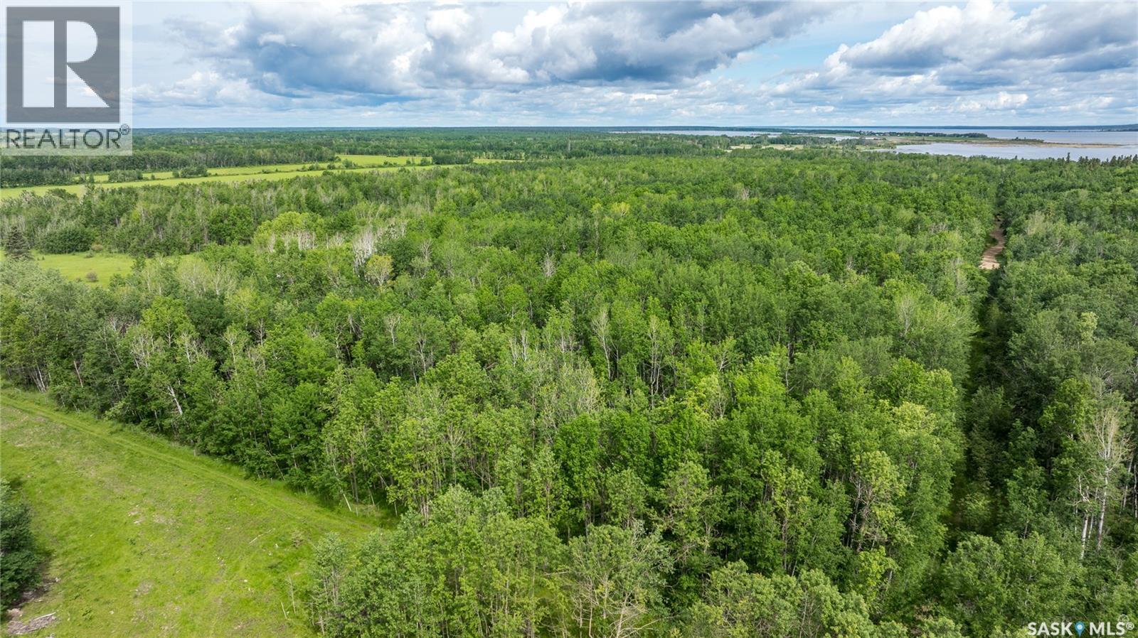 10 Acre Delaronde Lake Acreage, Delaronde Lake, Saskatchewan  S0J 0E0 - Photo 6 - SK035719