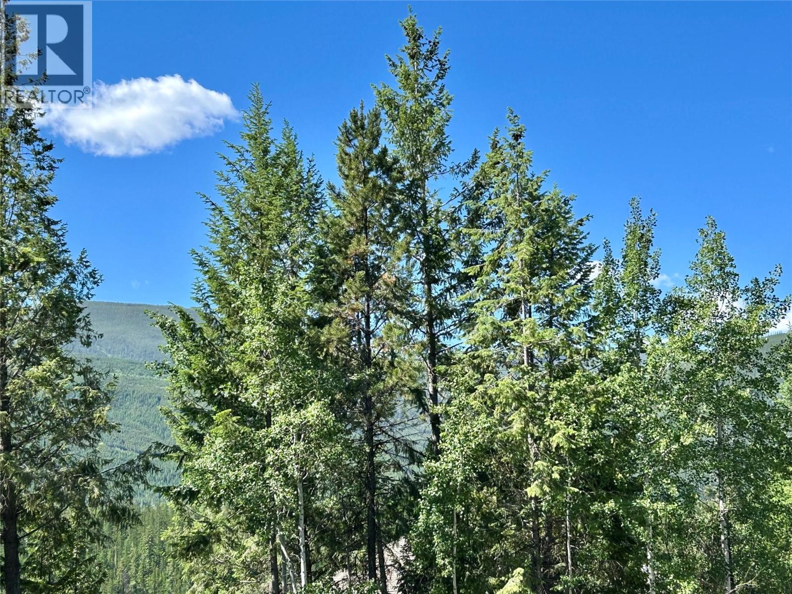 118 Sunflower Drive, Kimberley, British Columbia  V1A 0A8 - Photo 1 - 10391738