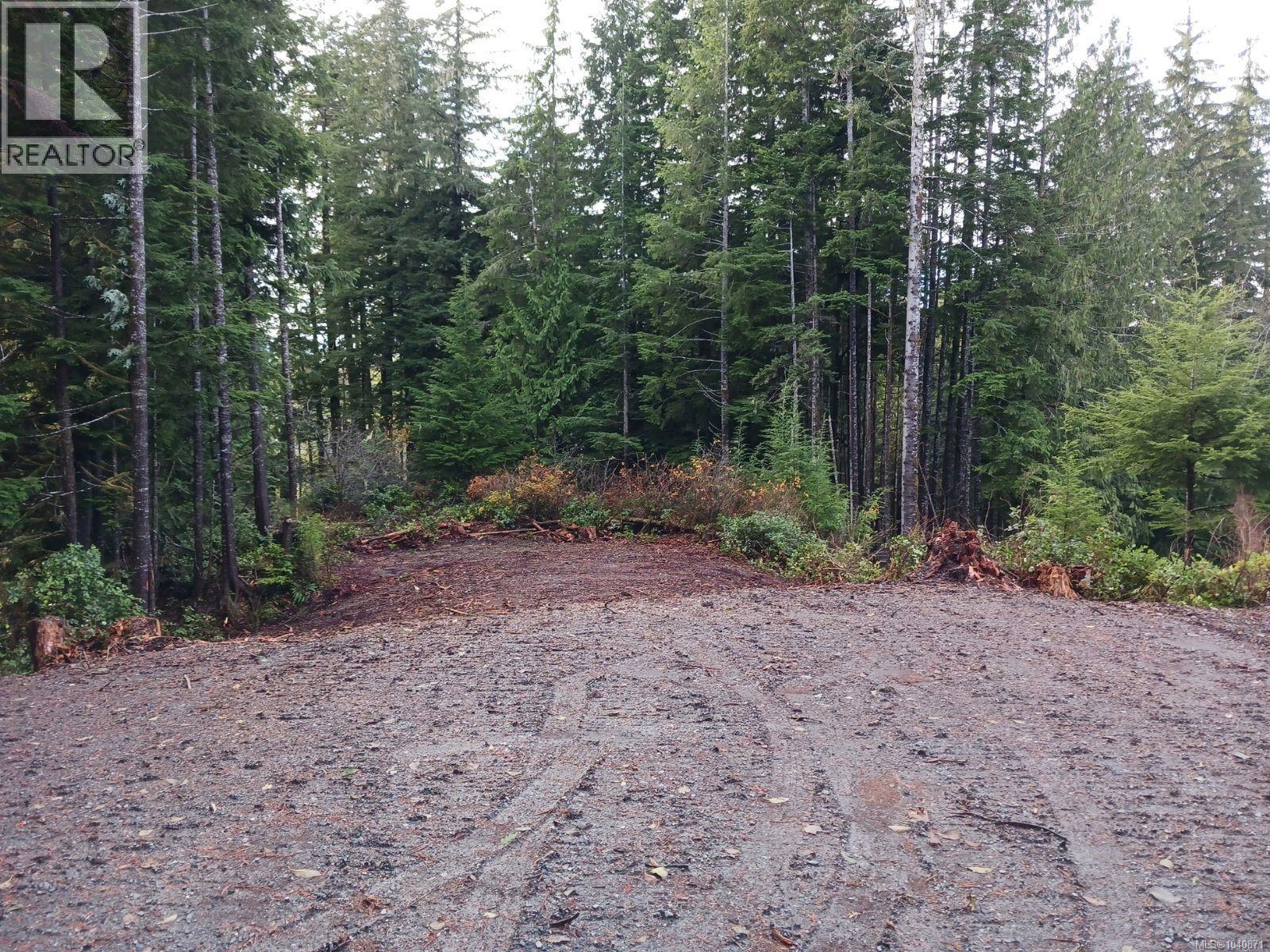 16997 Beachview Dr, Port Renfrew, British Columbia  V0S 1K0 - Photo 5 - 1040871