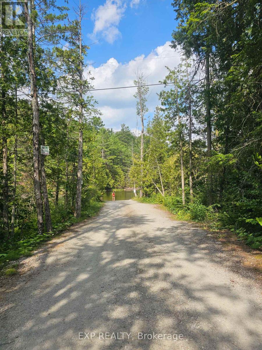 Part Lot 32 And 33 Part 2 Conc 1 Concession, Minden Hills, Ontario K0M 1X0 - Photo 14 - X12907676