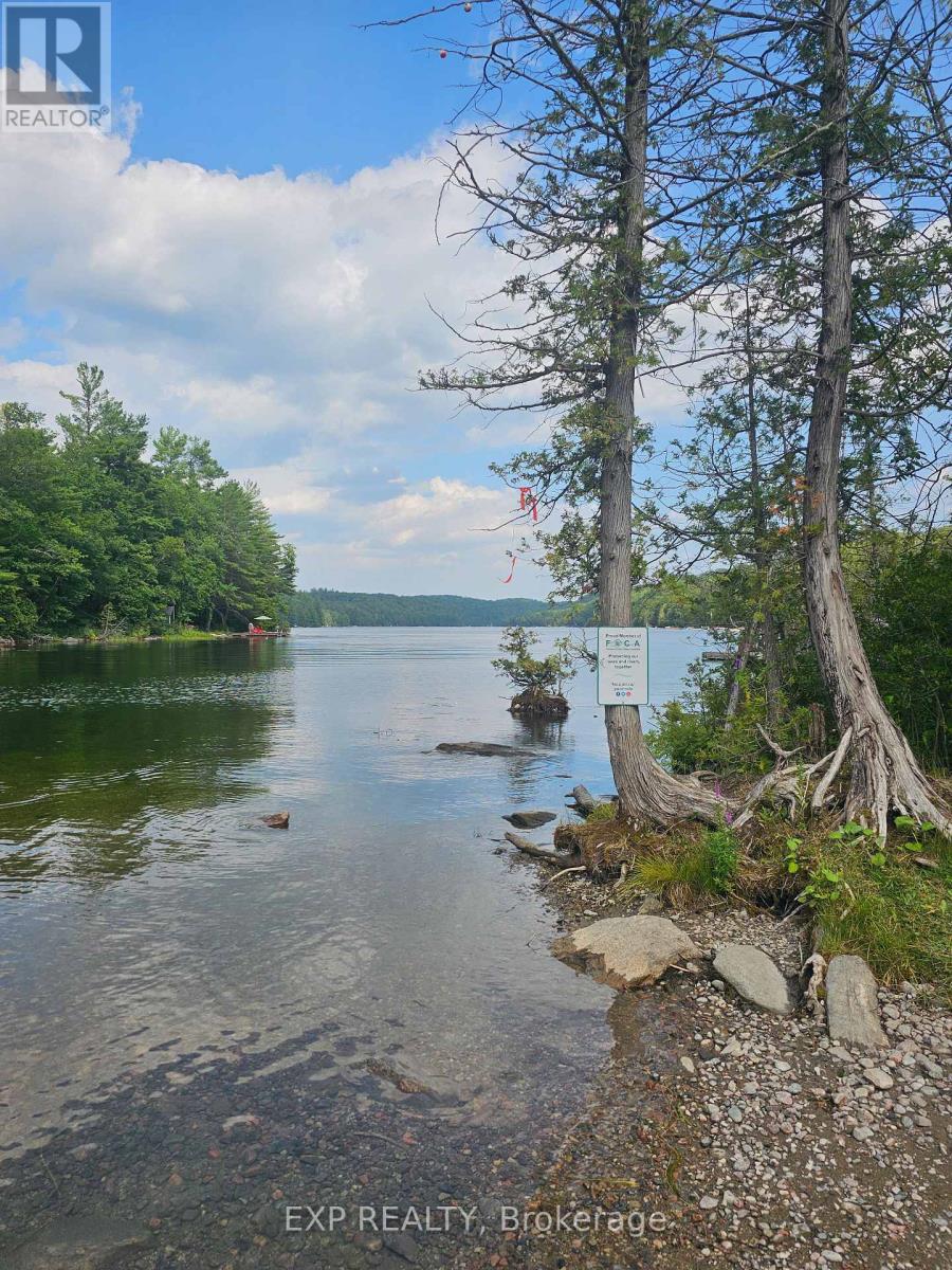Part Lot 32 And 33 Part 2 Conc 1 Concession, Minden Hills, Ontario K0M 1X0 - Photo 15 - X12907676