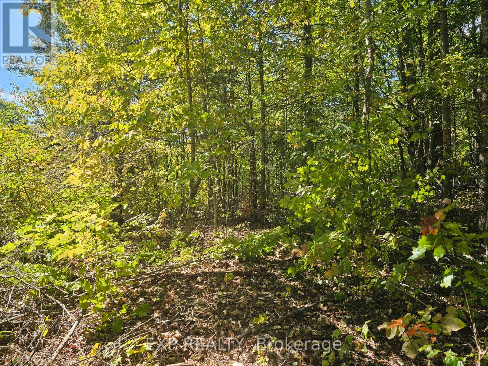 PART LOT 32 AND 33 PART 2 CONC 1 CONCESSION, Minden Hills, Ontario