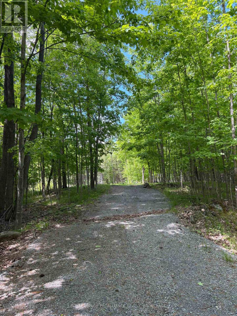 Pt Lt 7 Silver Rock Lane, Frontenac, Ontario  K0H 1W0 - Photo 3 - X13464348