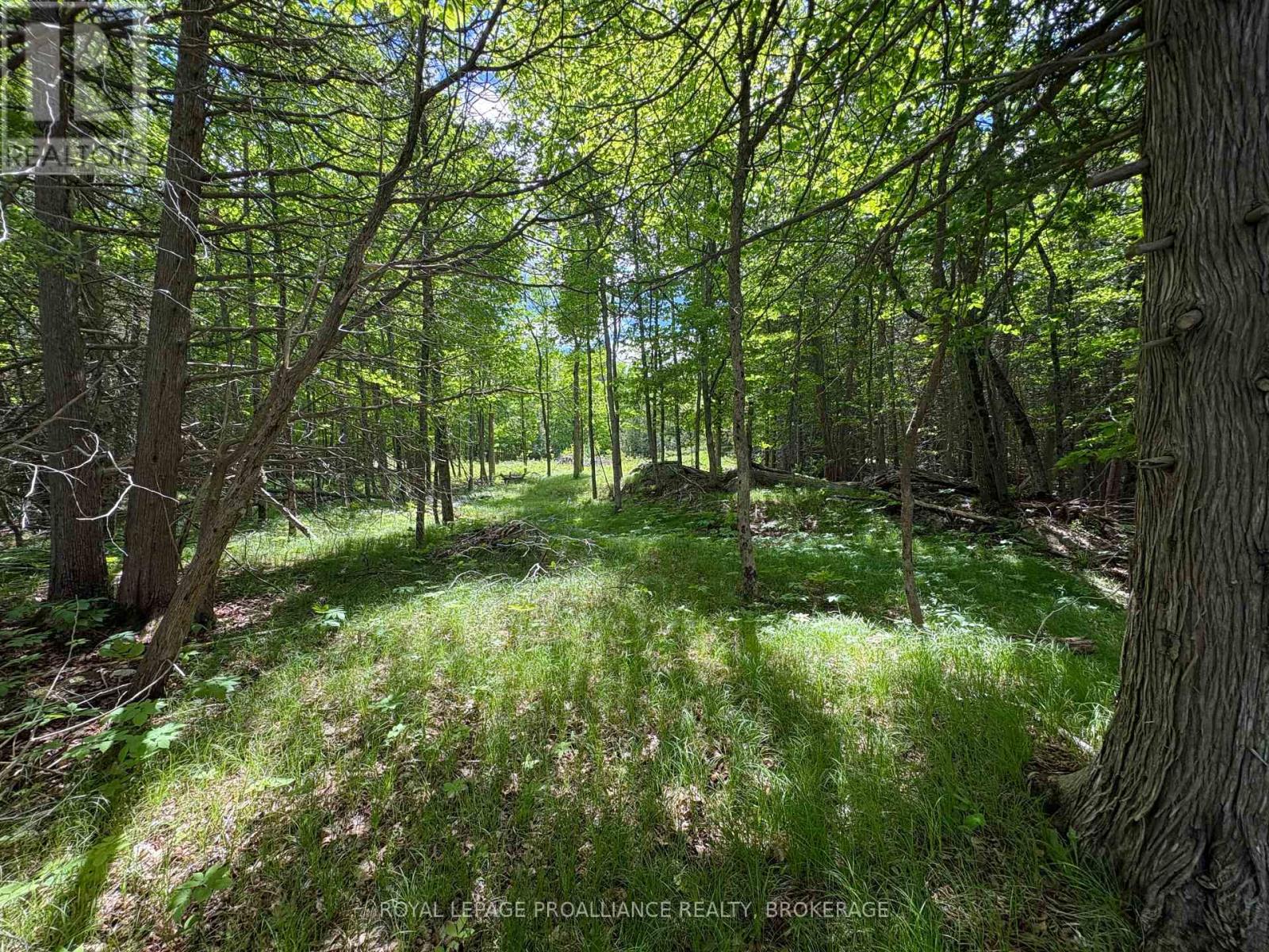 Pt Lt 7 Silver Rock Lane, Frontenac, Ontario  K0H 1W0 - Photo 11 - X13464348
