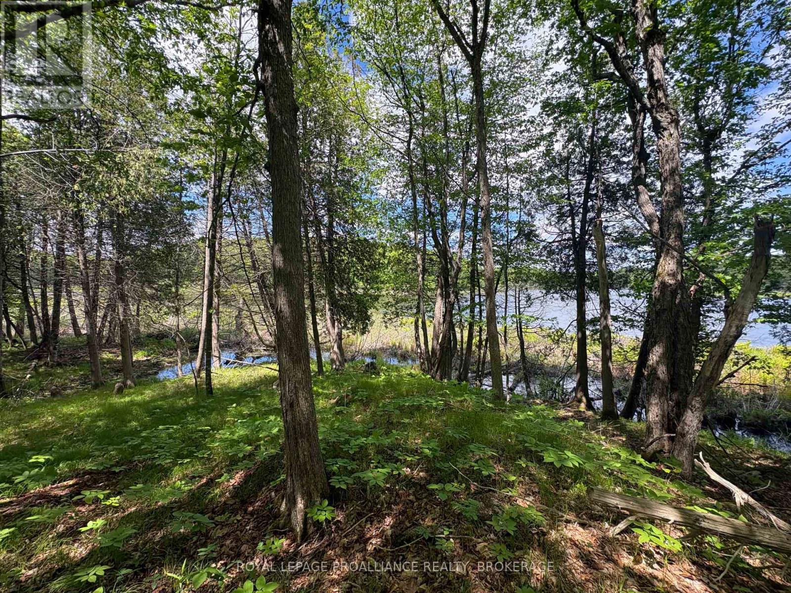 Pt Lt 7 Silver Rock Lane, Frontenac, Ontario  K0H 1W0 - Photo 10 - X13464348