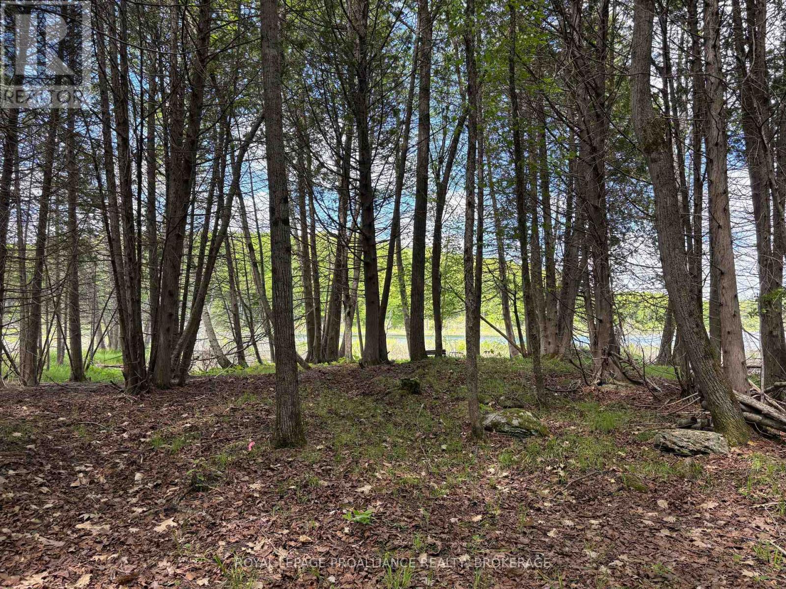 Pt Lt 7 Silver Rock Lane, Frontenac, Ontario  K0H 1W0 - Photo 18 - X13464348