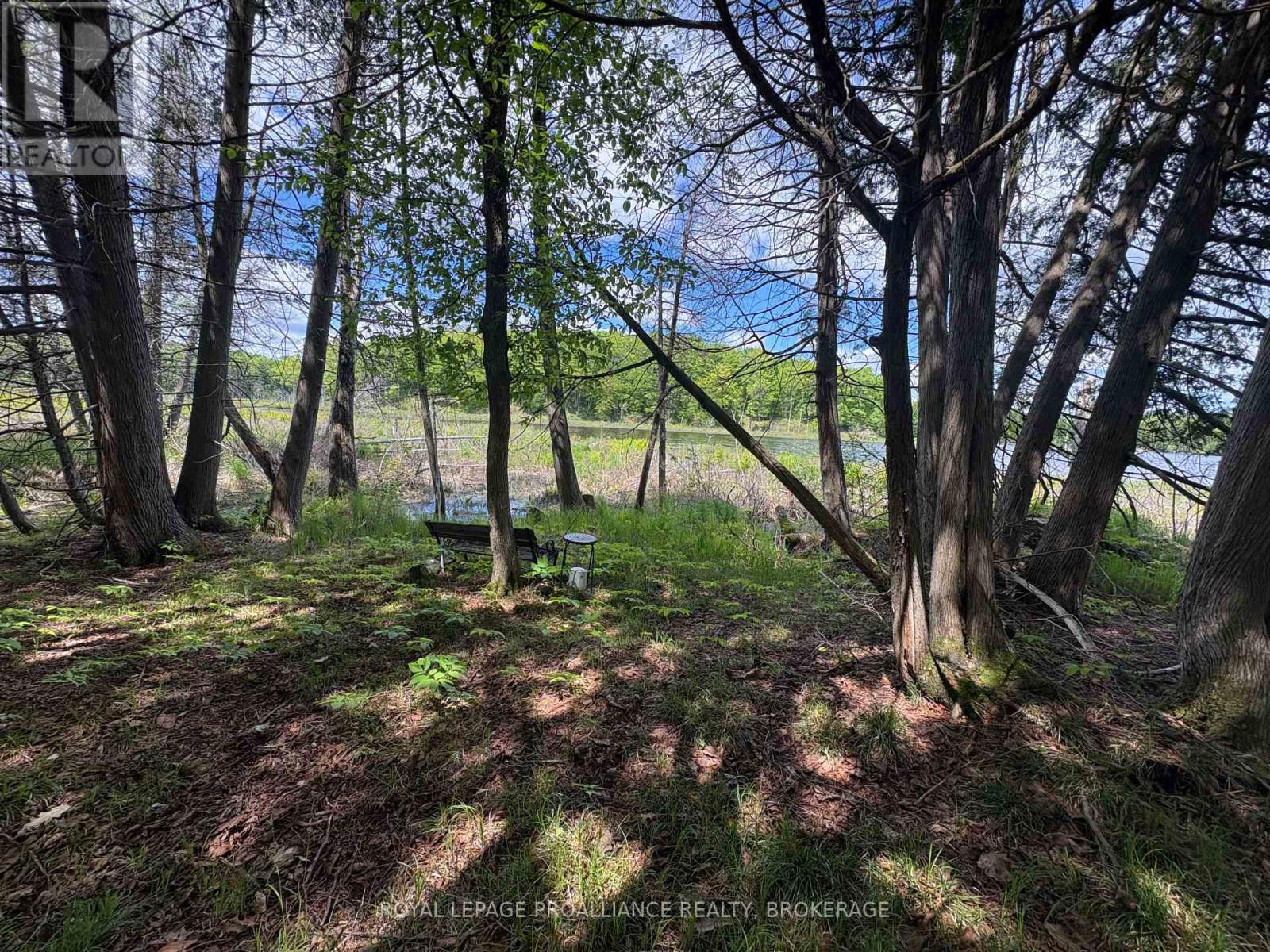 Pt Lt 7 Silver Rock Lane, Frontenac, Ontario  K0H 1W0 - Photo 13 - X13464348