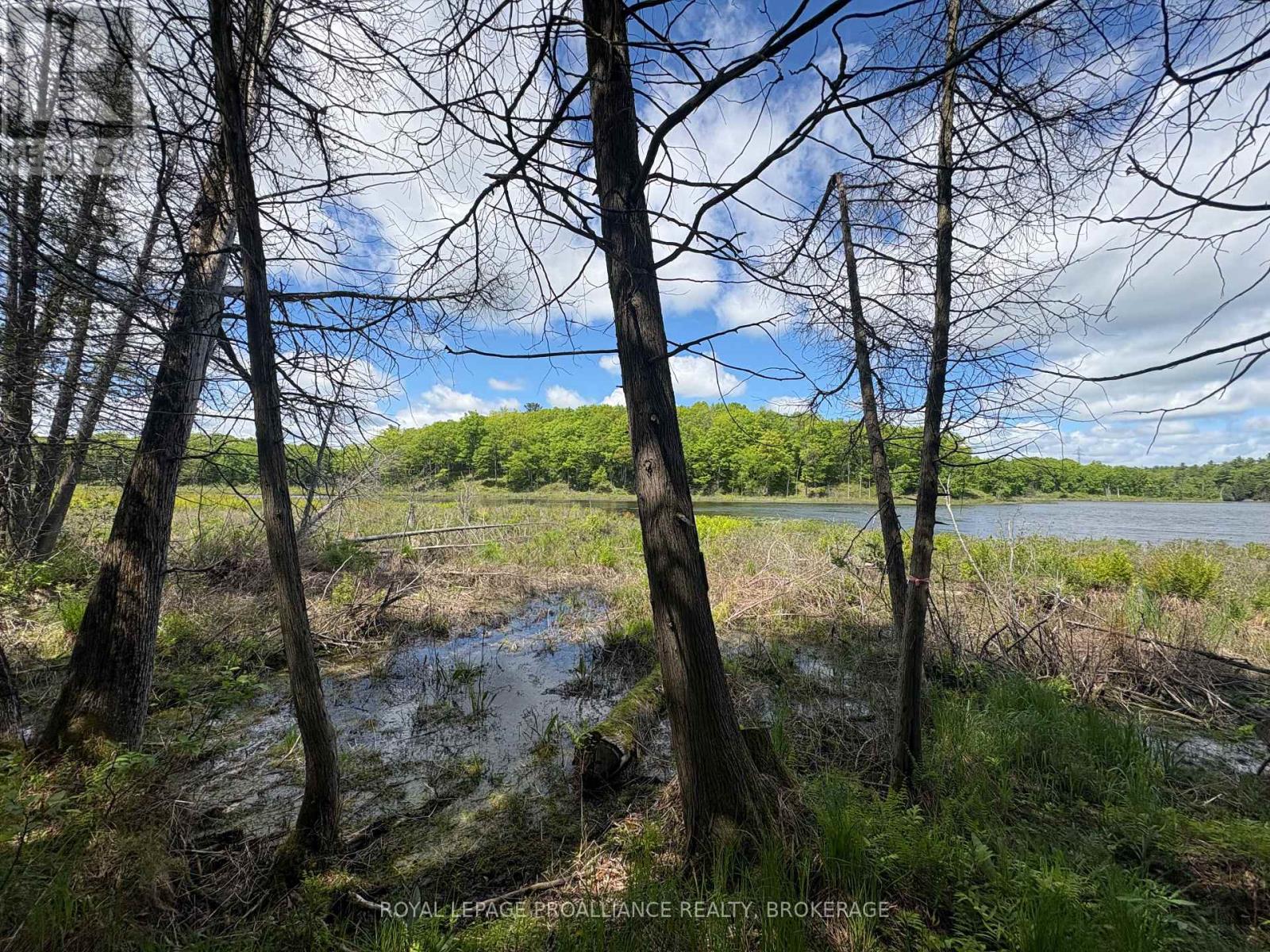 Pt Lt 7 Silver Rock Lane, Frontenac, Ontario  K0H 1W0 - Photo 14 - X13464348