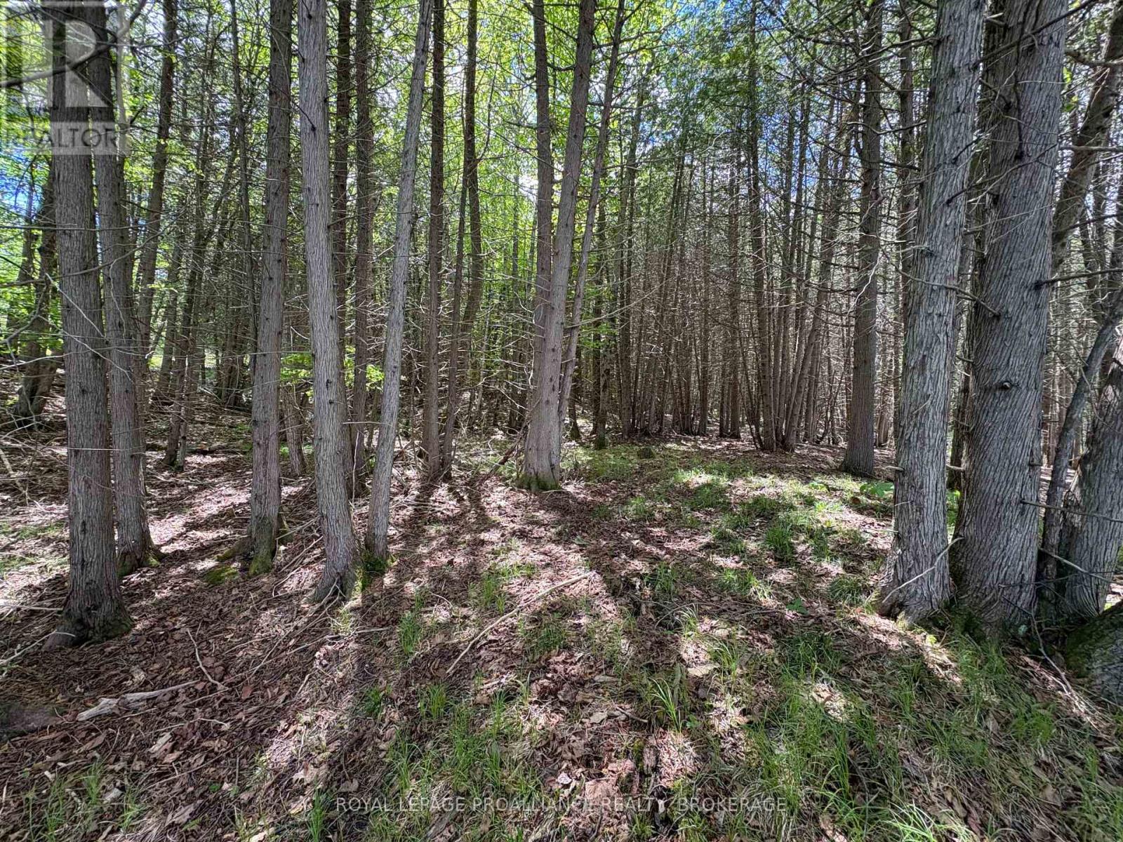 Pt Lt 7 Silver Rock Lane, Frontenac, Ontario  K0H 1W0 - Photo 12 - X13464348