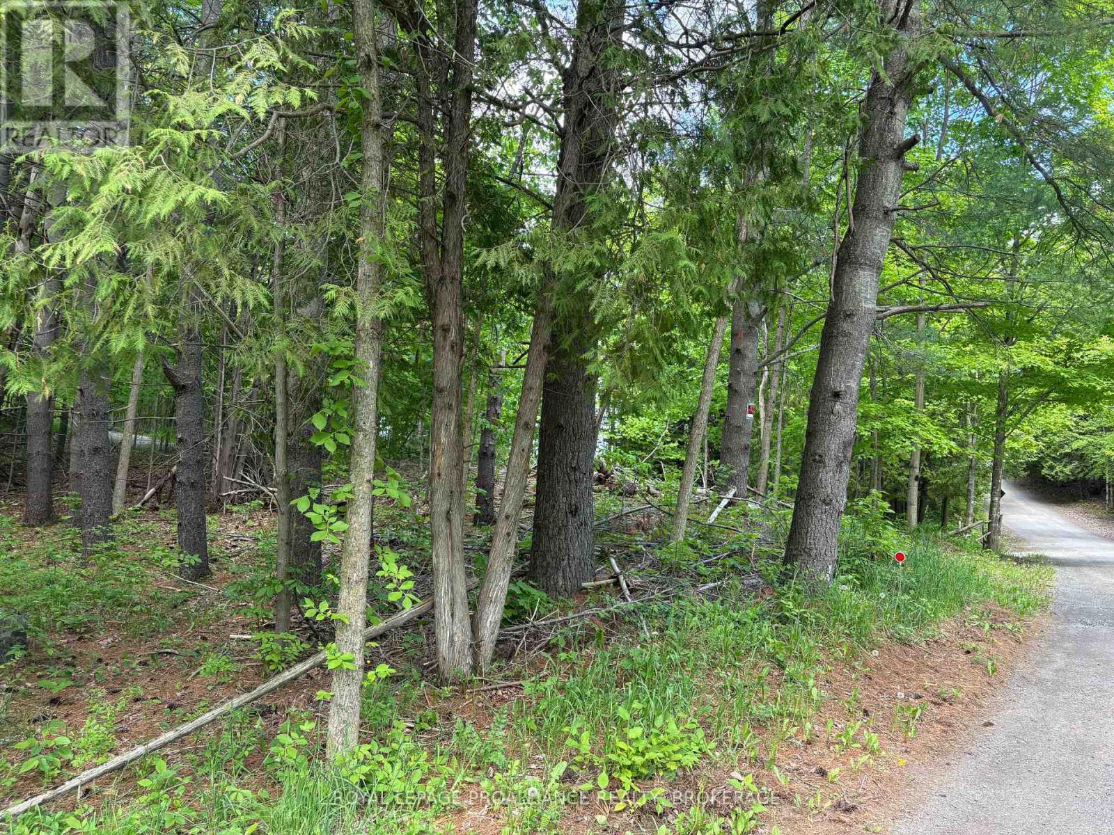 Pt Lt 7 Silver Rock Lane, Frontenac, Ontario  K0H 1W0 - Photo 20 - X13464348
