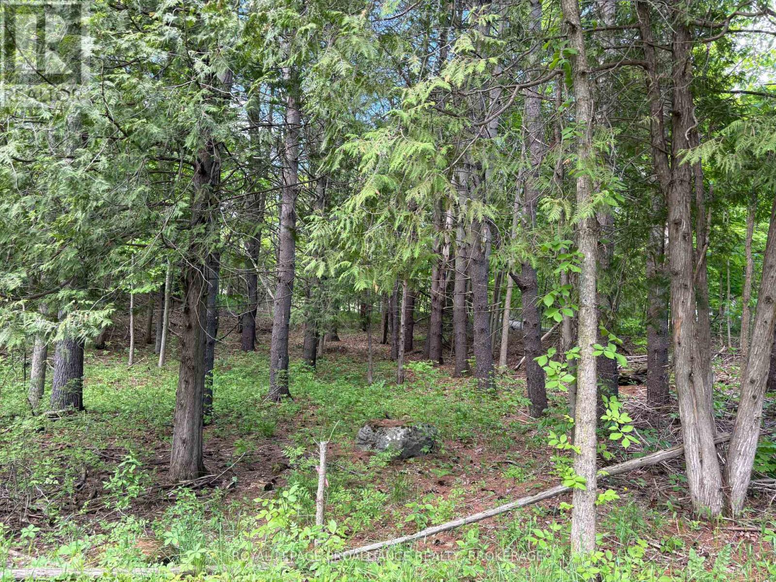 Pt Lt 7 Silver Rock Lane, Frontenac, Ontario  K0H 1W0 - Photo 21 - X13464348