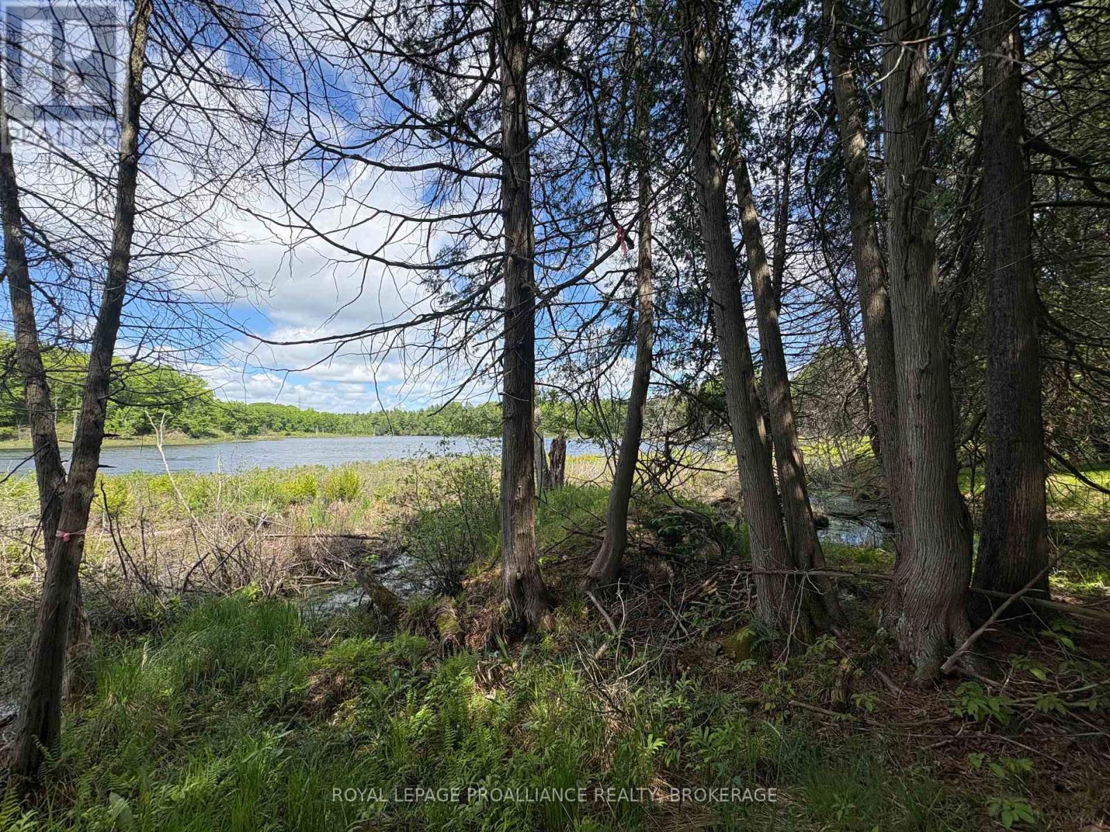 Pt Lt 7 Silver Rock Lane, Frontenac, Ontario  K0H 1W0 - Photo 15 - X13464348