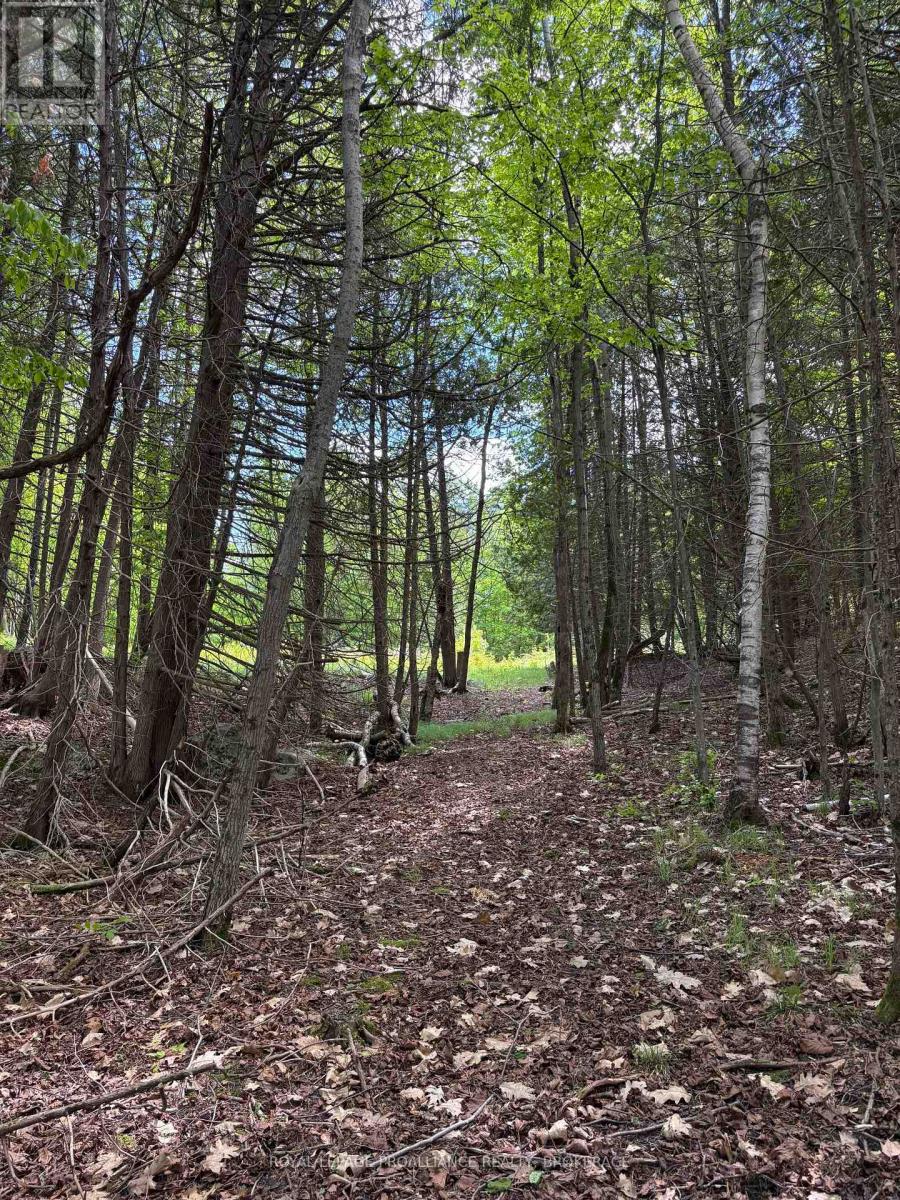 Pt Lt 7 Silver Rock Lane, Frontenac, Ontario  K0H 1W0 - Photo 17 - X13464348