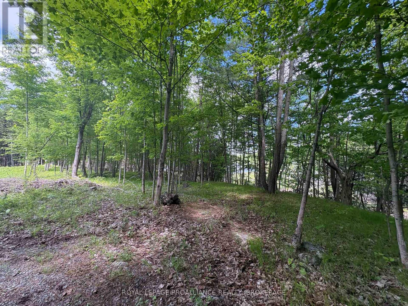 Pt Lt 7 Silver Rock Lane, Frontenac, Ontario  K0H 1W0 - Photo 5 - X13464348