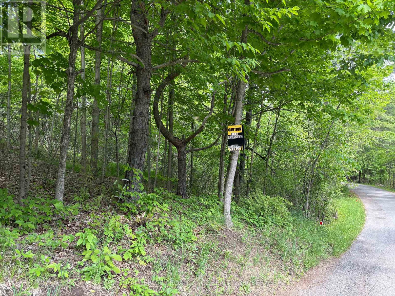 Pt Lt 7 Silver Rock Lane, Frontenac, Ontario  K0H 1W0 - Photo 19 - X13464348