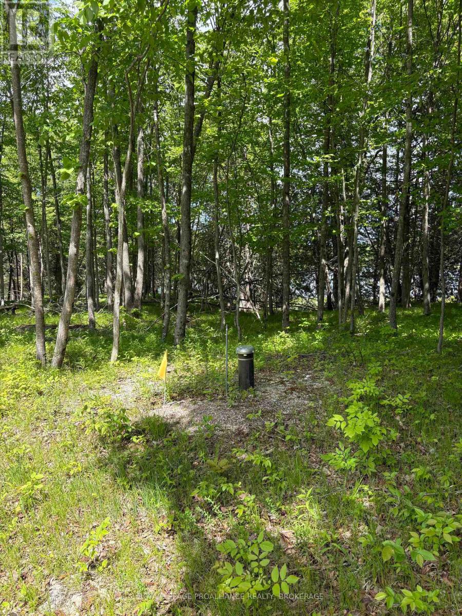Pt Lt 7 Silver Rock Lane, Frontenac, Ontario  K0H 1W0 - Photo 6 - X13464348