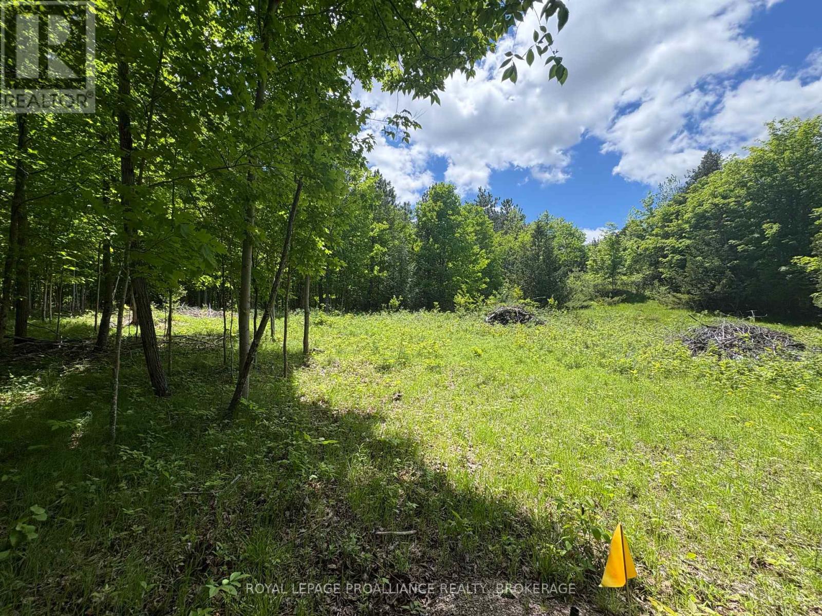 Pt Lt 7 Silver Rock Lane, Frontenac, Ontario  K0H 1W0 - Photo 7 - X13464348